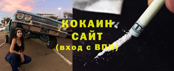 ПСИЛОЦИБИНОВЫЕ ГРИБЫ Бородино