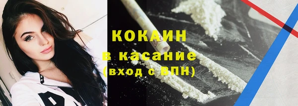 индика Бугульма
