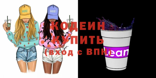 индика Бугульма