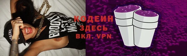 индика Бугульма