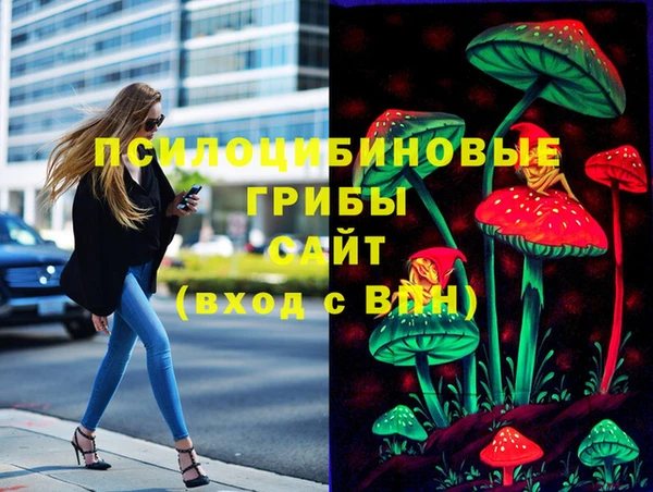 ПСИЛОЦИБИНОВЫЕ ГРИБЫ Бородино