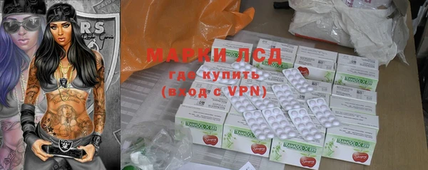 индика Бугульма