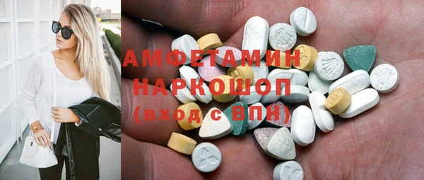 индика Бугульма
