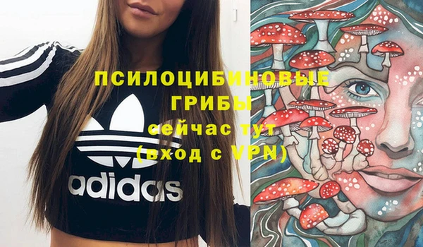 ПСИЛОЦИБИНОВЫЕ ГРИБЫ Бородино